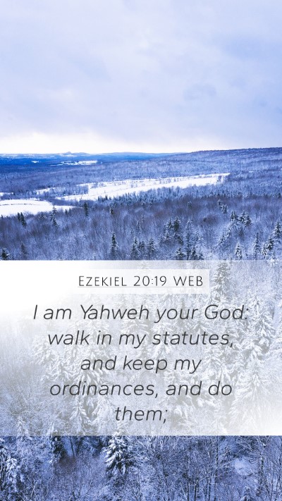Ezekiel 20:19 WEB Bible Verse Image