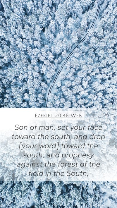 Ezekiel 20:46 WEB Bible Verse Image