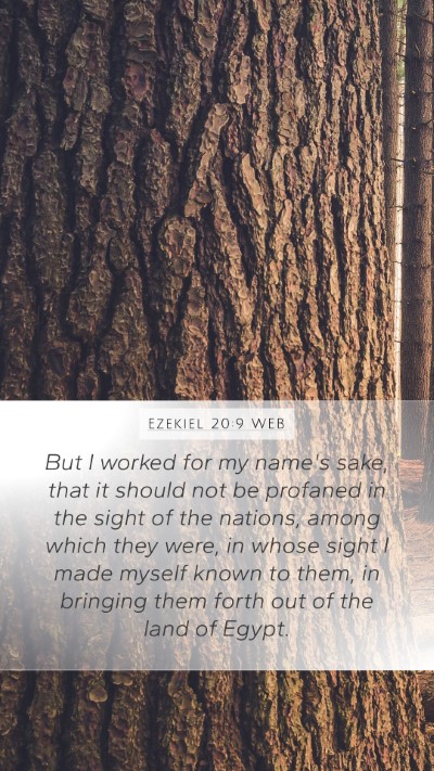 Ezekiel 20:9 WEB Bible Verse Image