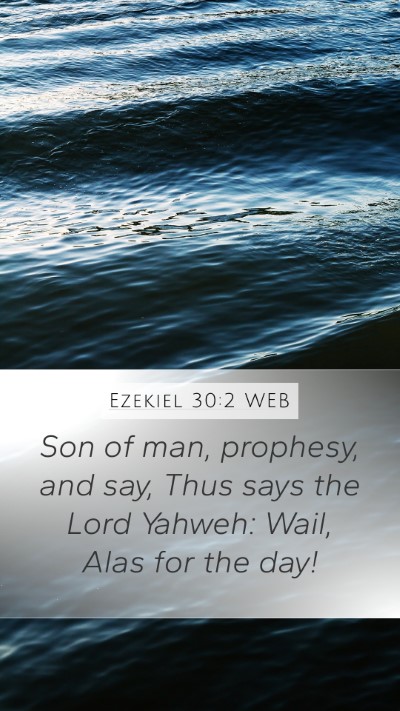 Ezekiel 30:2 WEB Bible Verse Image