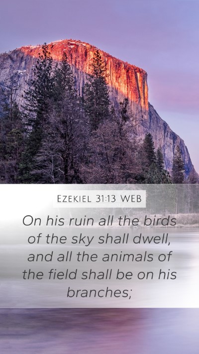 Ezekiel 31:13 WEB Mobile Phone Wallpaper - On his ruin all the birds of the sky shall dwell, - Mobile Bible Verse Wallpaper