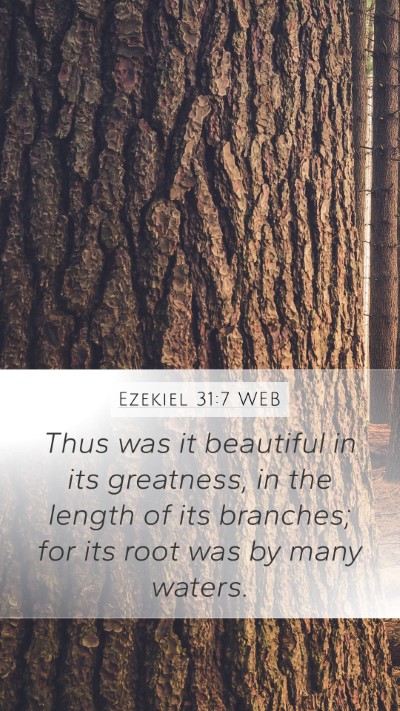 Ezekiel 31:7 WEB Mobile Phone Wallpaper - Thus was it beautiful in its greatness, in the - Mobile Bible Verse Wallpaper
