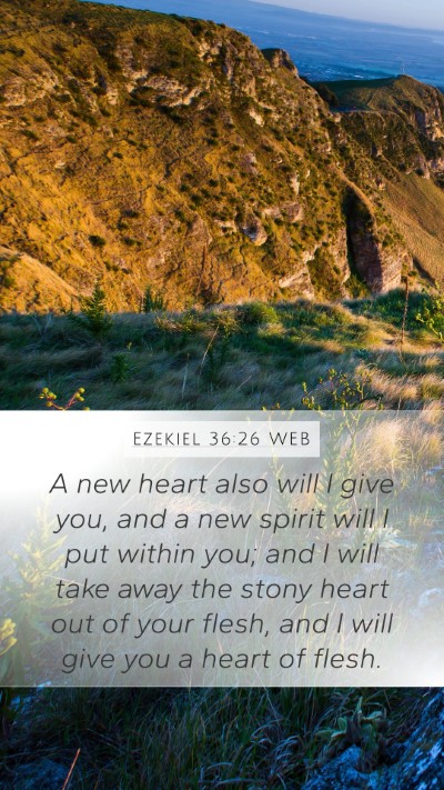 Ezekiel 36:26 WEB Bible Verse Image