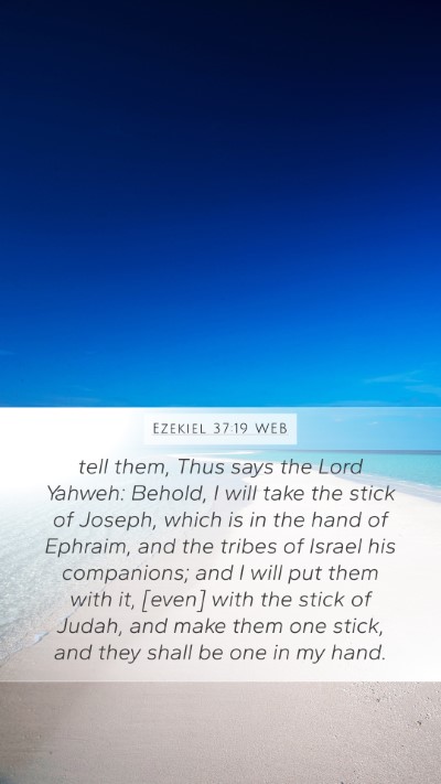 Ezekiel 37:19 WEB Bible Verse Image