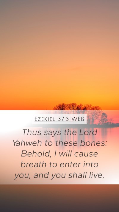 Ezekiel 37:5 WEB Bible Verse Image