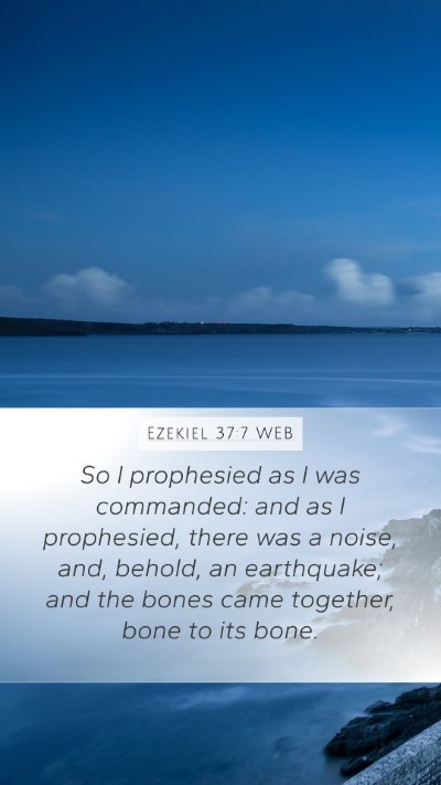 Ezekiel 37:7 WEB Mobile Phone Wallpaper - So I prophesied as I was commanded: and as I - Mobile Bible Verse Wallpaper