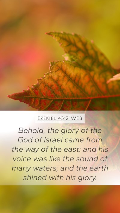 Ezekiel 43:2 WEB Bible Verse Image