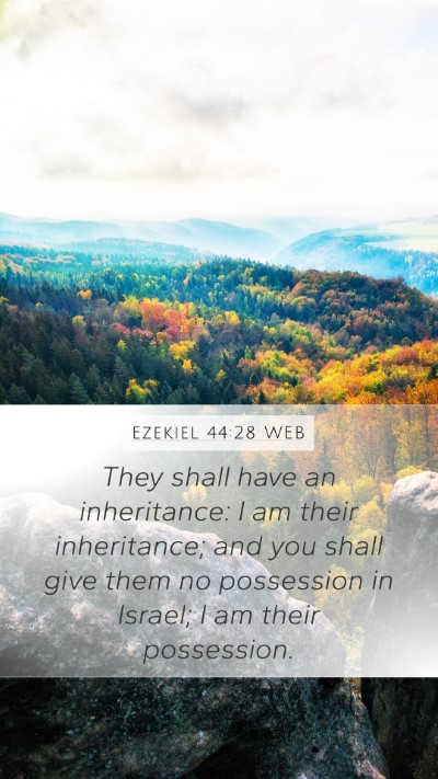 Ezekiel 44:28 WEB Bible Verse Image