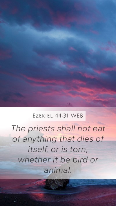 Ezekiel 44:31 WEB Bible Verse Image