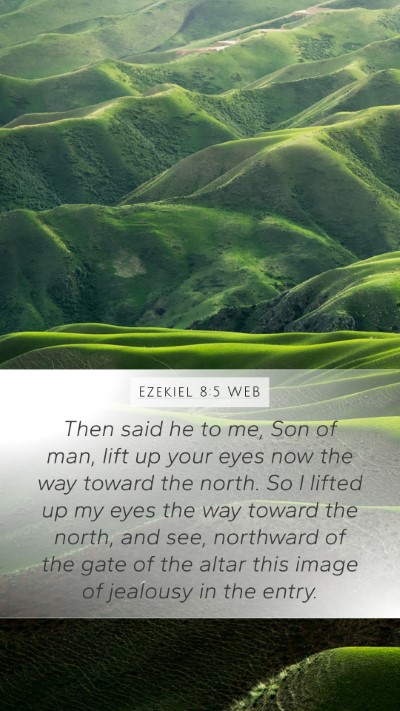 Ezekiel 8:5 WEB Bible Verse Image