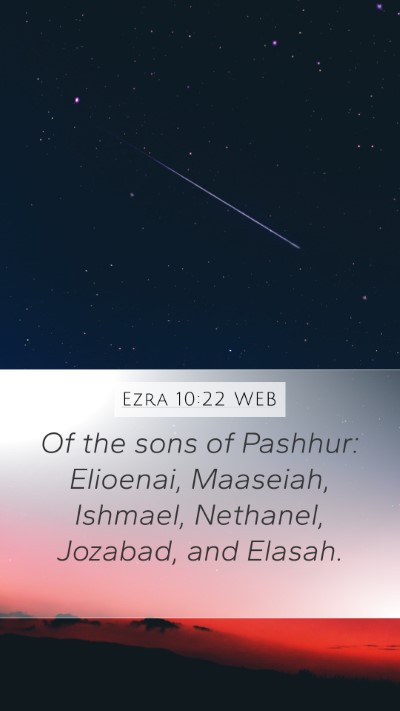 Ezra 10:22 WEB Mobile Phone Wallpaper - Of the sons of Pashhur: Elioenai, Maaseiah, - Mobile Bible Verse Wallpaper