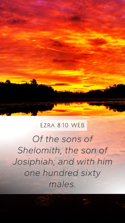 Ezra 8:10 WEB Mobile Phone Wallpaper - Of the sons of Shelomith, the son of Josiphiah; - Mobile Bible Verse Wallpaper