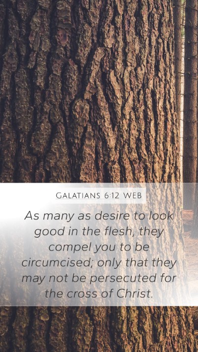 Galatians 6:12 WEB Bible Verse Image