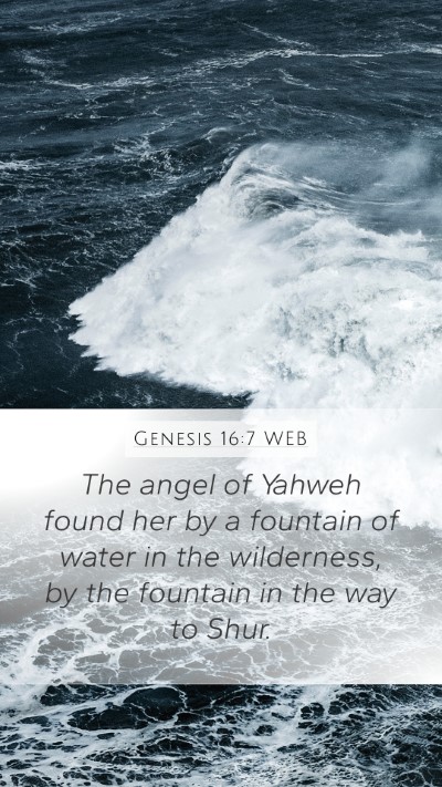 Genesis 16:7 WEB Bible Verse Image