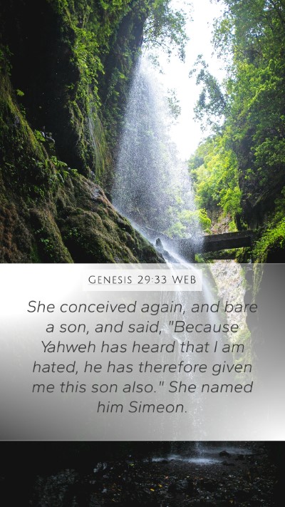 Genesis 29:33 WEB Bible Verse Image