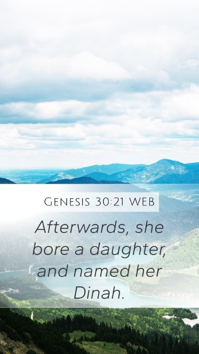 Genesis 30:21 WEB Mobile Phone Wallpaper - Afterwards, she bore a daughter, and named her - Mobile Bible Verse Wallpaper
