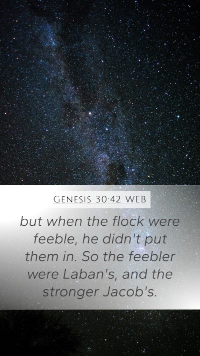 Genesis 30:42 WEB Mobile Phone Wallpaper - but when the flock were feeble, he didn't put - Mobile Bible Verse Wallpaper