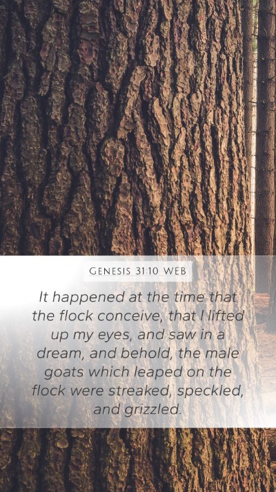 Genesis 31:10 WEB Bible Verse Image
