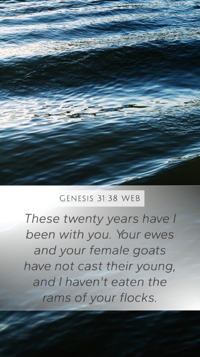 Genesis 31:38 WEB Bible Verse Image