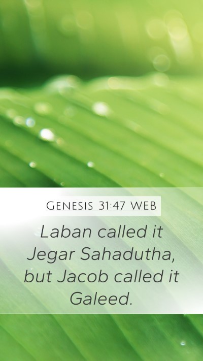 Genesis 31:47 WEB Mobile Phone Wallpaper - Laban called it Jegar Sahadutha, but Jacob called - Mobile Bible Verse Wallpaper