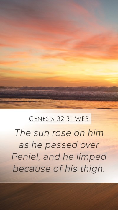 Genesis 32:31 WEB Bible Verse Image