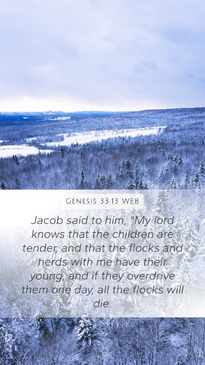 Genesis 33:13 WEB Bible Verse Image