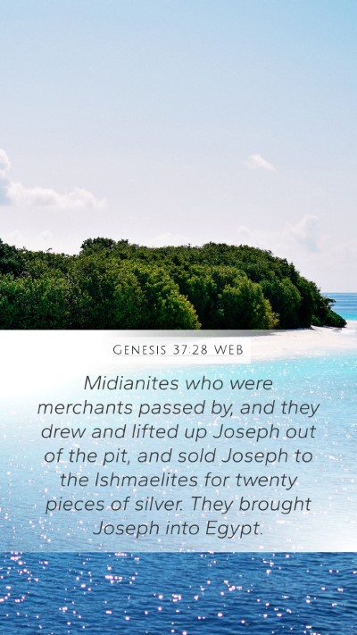 Genesis 37:28 WEB Bible Verse Image