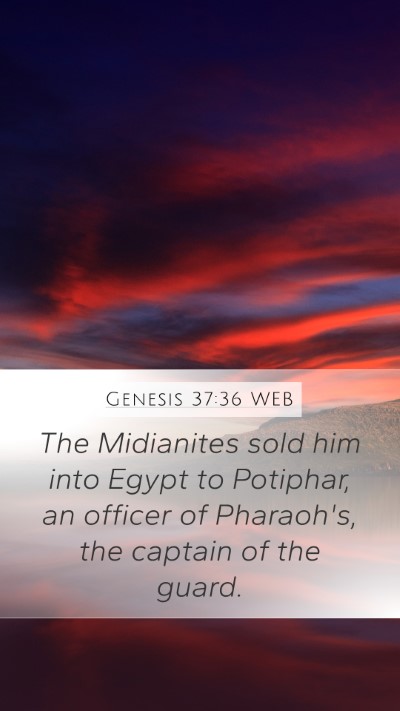 Genesis 37:36 WEB Bible Verse Image