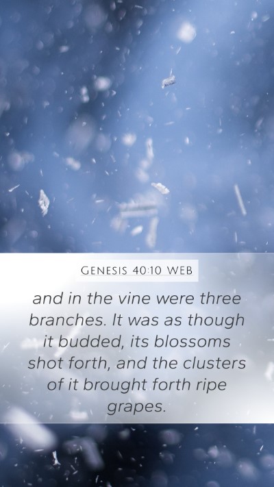 Genesis 40:10 WEB Mobile Phone Wallpaper - and in the vine were three branches. It was as - Mobile Bible Verse Wallpaper