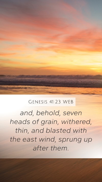 Genesis 41:23 WEB Mobile Phone Wallpaper - and, behold, seven heads of grain, withered, - Mobile Bible Verse Wallpaper