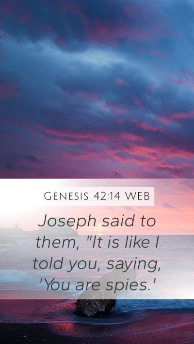 Genesis 42:14 WEB Bible Verse Image