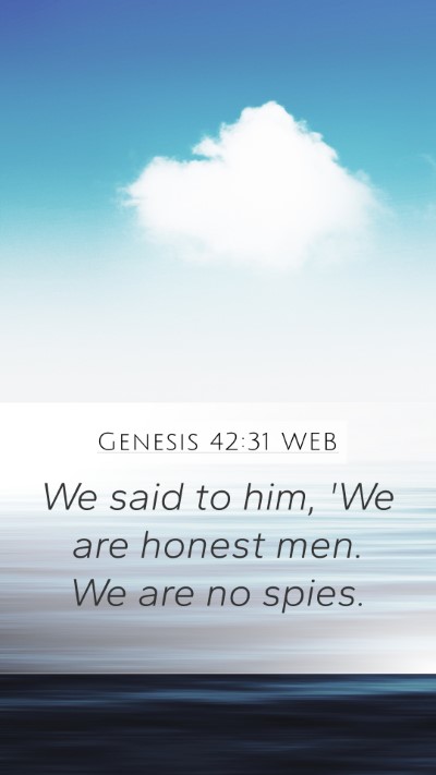 Genesis 42:31 WEB Bible Verse Image