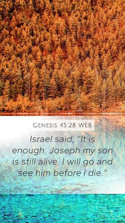 Genesis 45:28 WEB Bible Verse Image