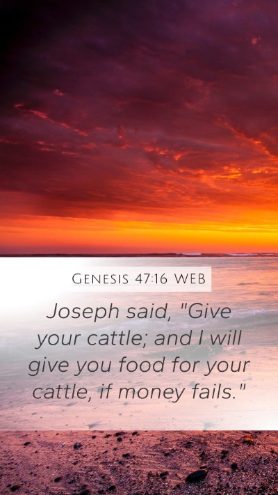 Genesis 47:16 WEB Mobile Phone Wallpaper - Joseph said, 
