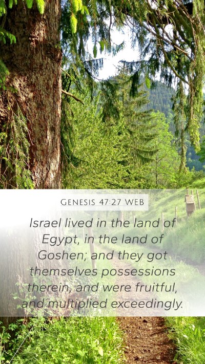 Genesis 47:27 WEB Bible Verse Image