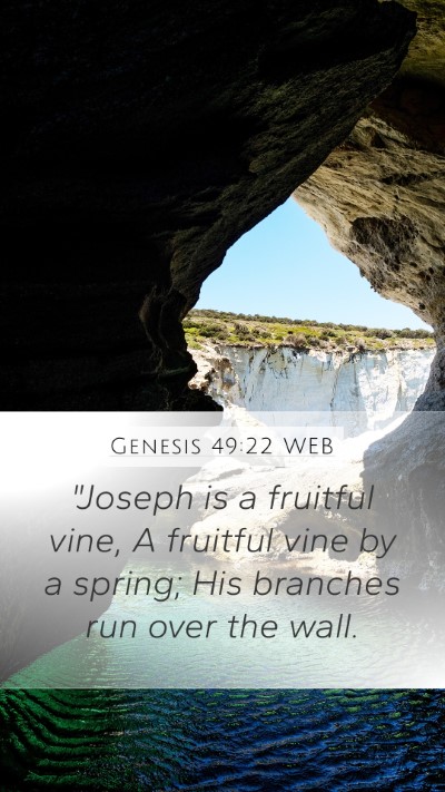 Genesis 49:22 WEB Bible Verse Image