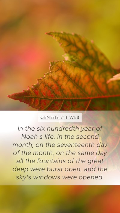 Genesis 7:11 WEB Bible Verse Image