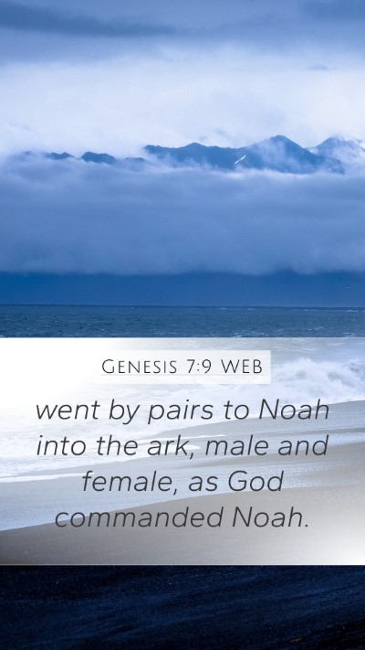 Genesis 7:9 WEB Mobile Phone Wallpaper - went by pairs to Noah into the ark, male and - Mobile Bible Verse Wallpaper