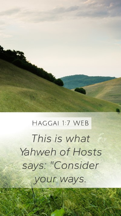 Haggai 1:7 WEB Bible Verse Image
