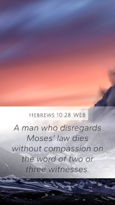Hebrews 10:28 WEB Bible Verse Image