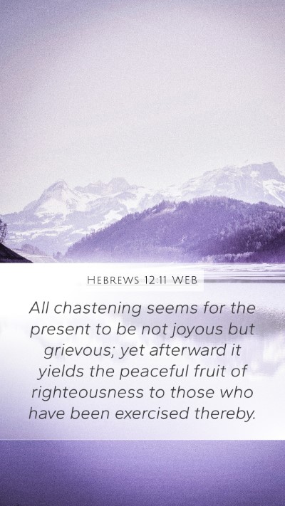Hebrews 12:11 WEB Bible Verse Image