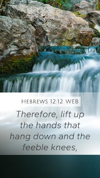 Hebrews 12:12 WEB Bible Verse Image