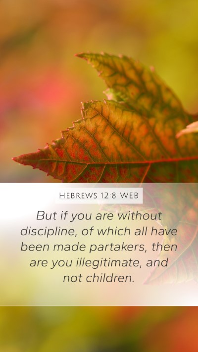 Hebrews 12:8 WEB Bible Verse Image