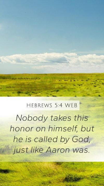 Hebrews 5:4 WEB Bible Verse Image
