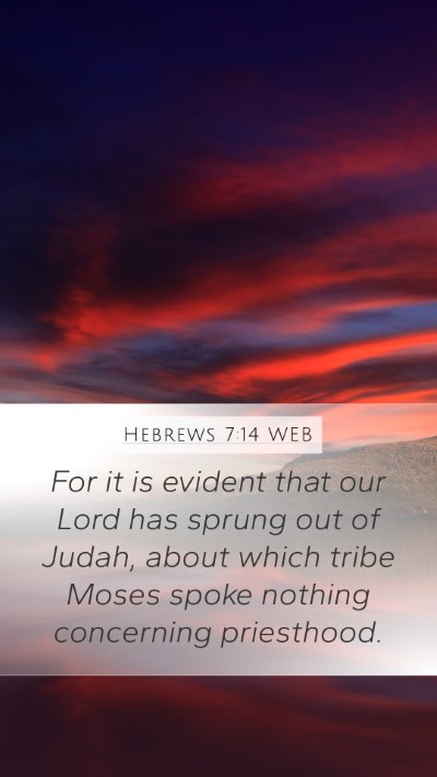 Hebrews 7:14 WEB Bible Verse Image