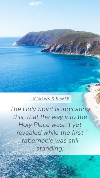 Hebrews 9:8 WEB Bible Verse Image