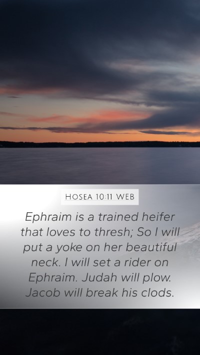 Hosea 10:11 WEB Bible Verse Image