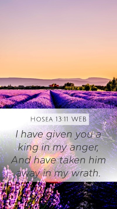 Hosea 13:11 WEB Bible Verse Image