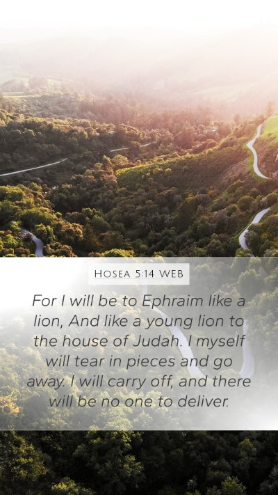 Hosea 5:14 WEB Bible Verse Image