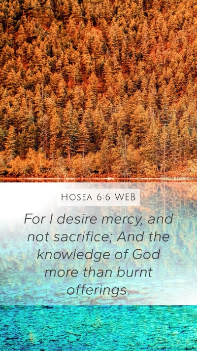 Hosea 6:6 WEB Bible Verse Image
